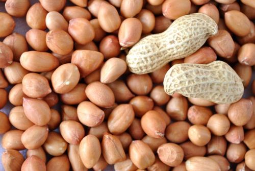 Hps groundnut kernels