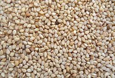 Indian Sesame Seeds