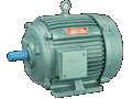 Three Phase Induction Motor