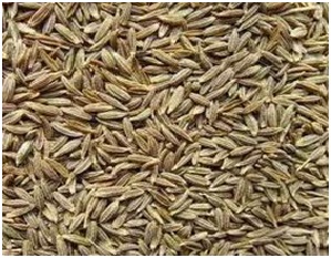 Cumin Whole