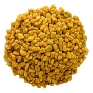 Fenugreek