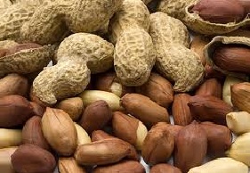 Groundnut, Shelf Life : 12 Months