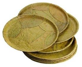 Disposable Leaf Plates