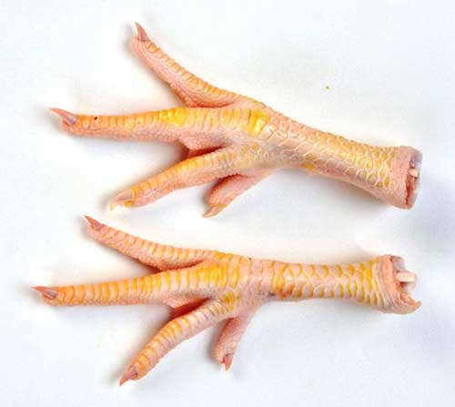 Unprocessed Chicken Feet