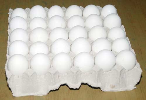 White Poultry Eggs