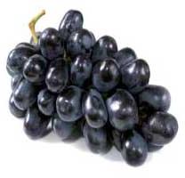 Fresh Black Grapes