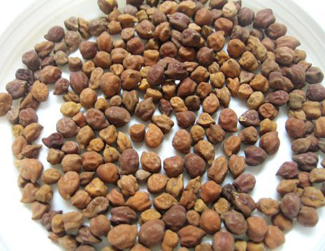 Common Black Chickpeas, Packaging Type : Jute Bags, Plastic Packets