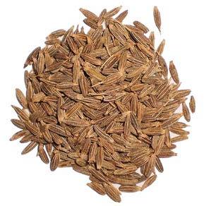 Cumin Seeds, For Cooking, Feature : Healthy