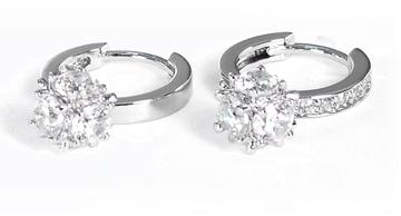 Jewellery Earring E9029