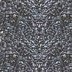 Common Black Sesame Seeds, For Making Oil, Style : Natural