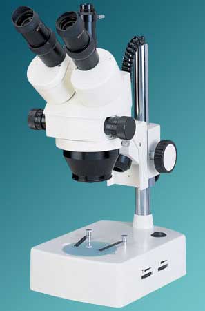 Stereo Microscopes