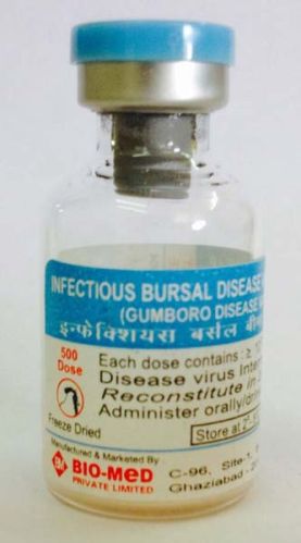 INFECTIOUS BURSAL DISEASE VACCINE, I.P.