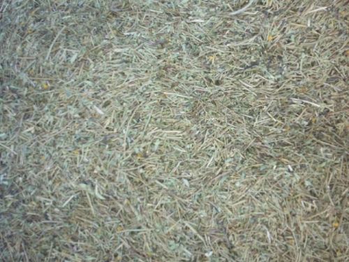 Senna Leaves (No 5 Unclean)