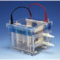 Electrophoresis Products