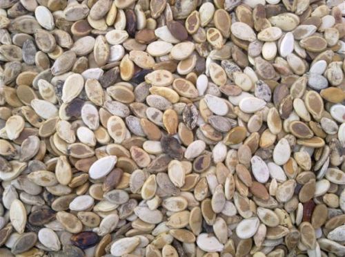 Hulled Watermelon Seeds