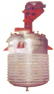 Stainless Steel Reactor Vessel