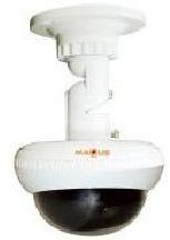 Panoramic View Camera