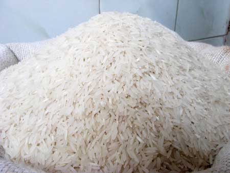 Basmati rice, Cultivation Type :Common