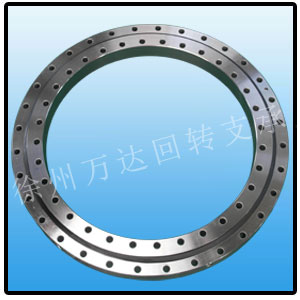 Slewing Ring Light Type For Environmental Machinery