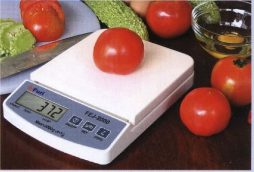 Electronics Portable Scale