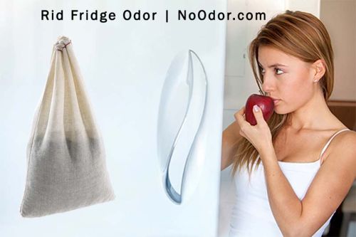 SMELLEZE Reusable Freezer Smell Removal Deodorizer Pouch: Eliminates