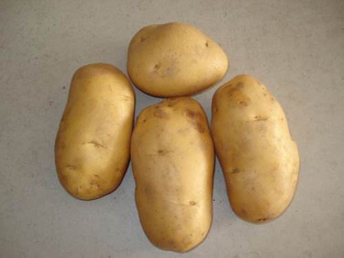 Potato, Quality Available : A Grade