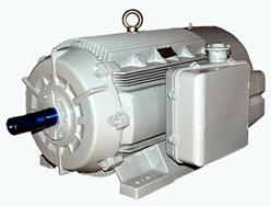 TEFC Electric Motors