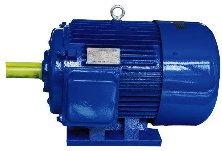 Electric Induction Motors