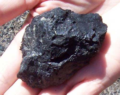 Coal