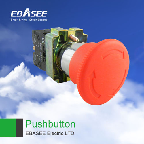 Ebsa2 Push Button Switch, Brand Name : Ebasee