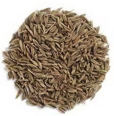 Cumin seeds, Purity : 99% / 98% / 99.50%