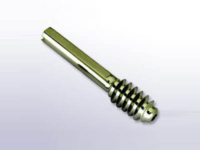 DH Screw