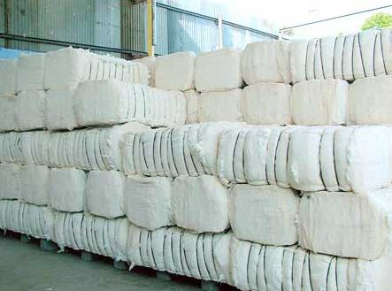 Cotton Bales