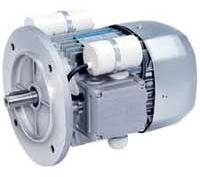 Single Phase Flange Motor