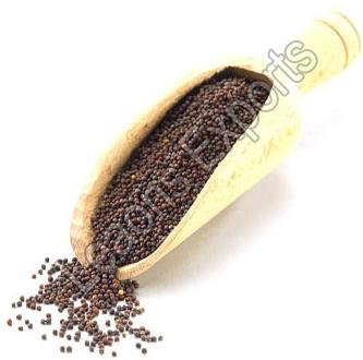 Black Mustard Seeds, Usage/Application : Cooking