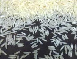 Hard Organic 1121 Steam Basmati Rice, For Gluten Free, High In Protein, Color : Brown, Creamy