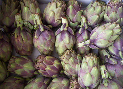 Fresh Artichoke
