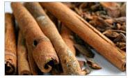 Vedantha Raw Cinnamon, Certification : ISO, USDA, INDOCERT