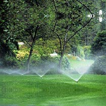 Landscape Irrigation System