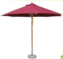 Patio Umbrella