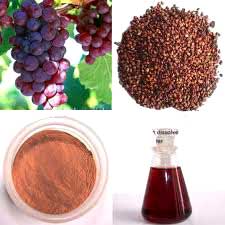 Grape Seed Extract