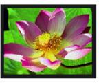 LED Screen, Brand Name : Ganxin