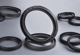 Custom Standard Oil Seal