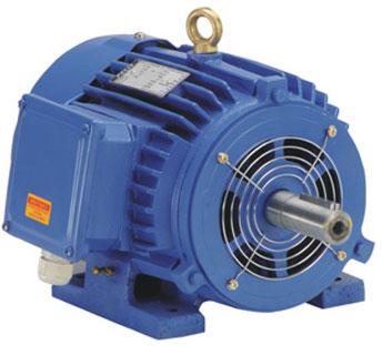 AC Torque Motors