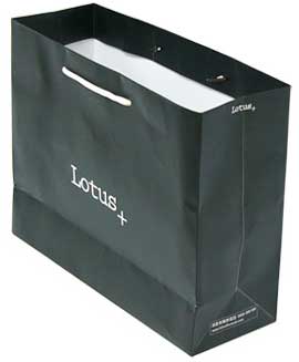 Shopping Bag