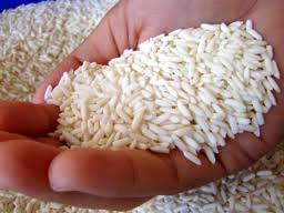 Organic Long Grain Rice, For Cooking, Packaging Size : 5kg