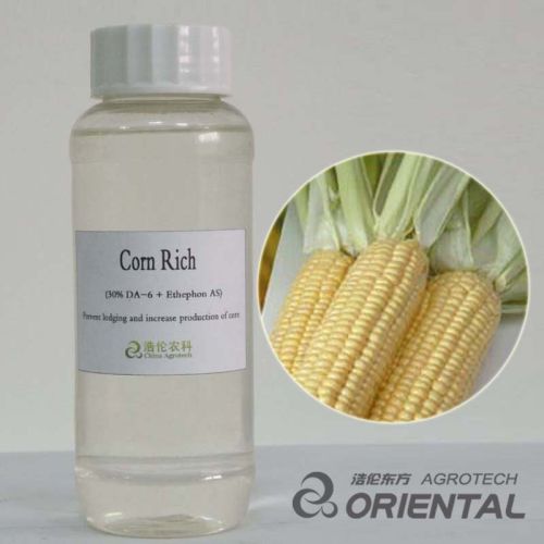 Corn Rich Miantaijin Plant Growth Regulator