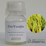 Daoyuanjin Plant Growth Regulator
