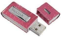 Sandisk USB Flash Drives 02