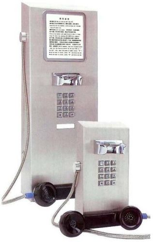 Public VOIP Telephone